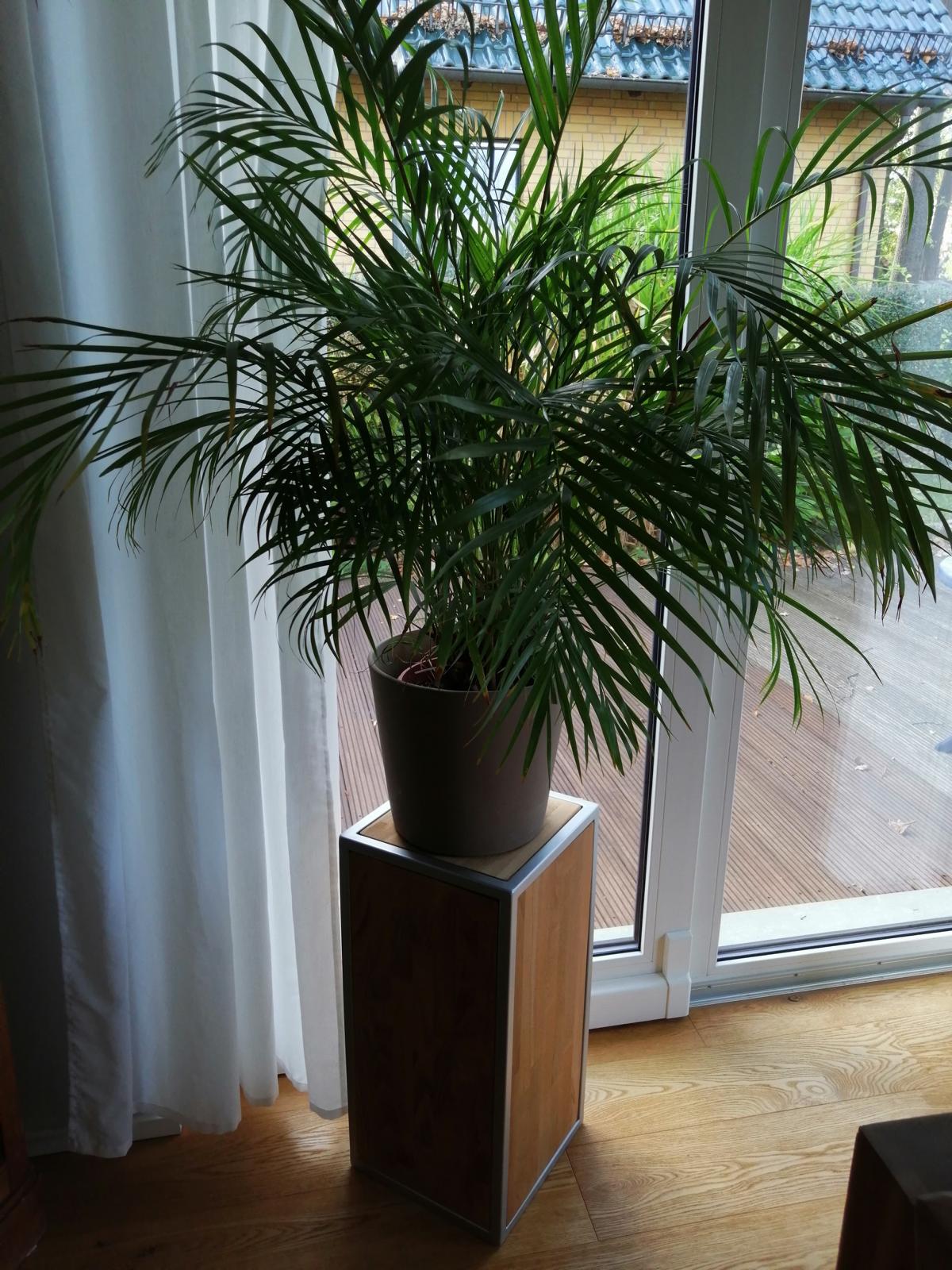 Blumensäule